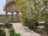 DSC06907